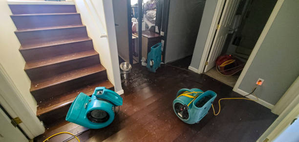 Best Water damage restoration near me  in New Hackensack, NY