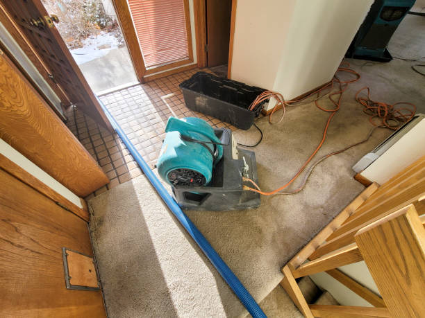 Best Flooded house restoration  in New Hackensack, NY