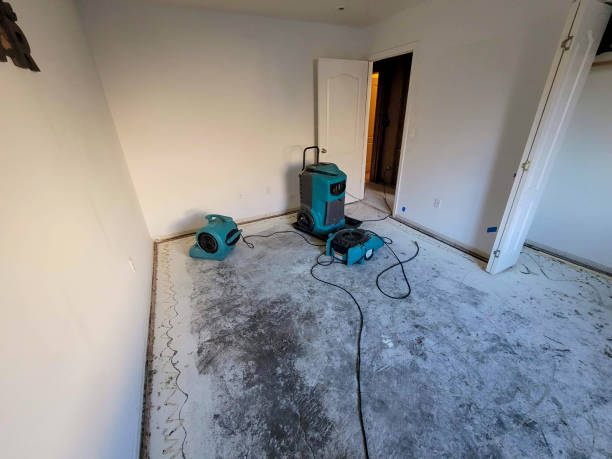 Best Local water damage restoration  in New Hackensack, NY