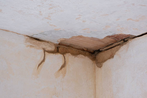  New Hackensack, NY Water damage restoration Pros