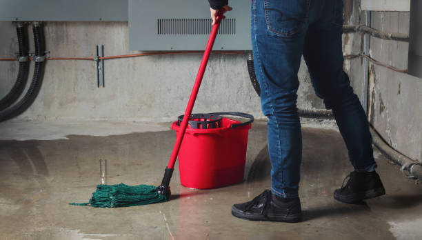 Best Water damage restoration near me  in New Hackensack, NY