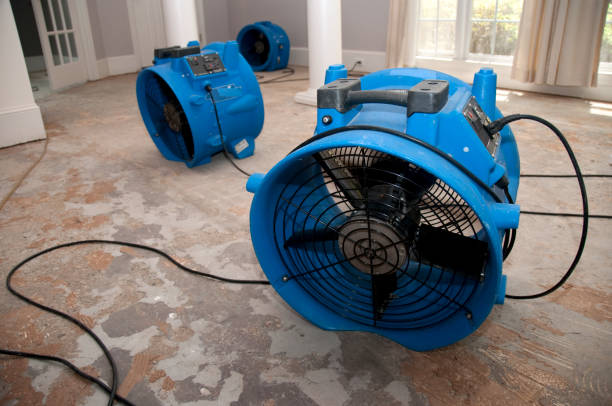 Best Professional water damage repair  in New Hackensack, NY