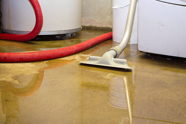Best Residential water damage restoration  in New Hackensack, NY
