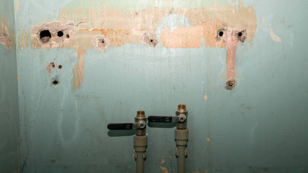 Water damage restoration experts in NY
