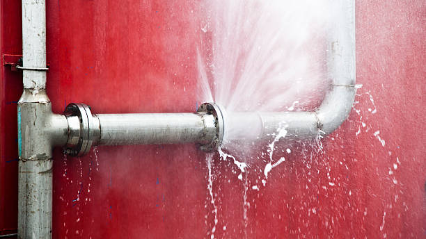 Best Carpet water damage restoration  in New Hackensack, NY
